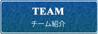 チーム紹介